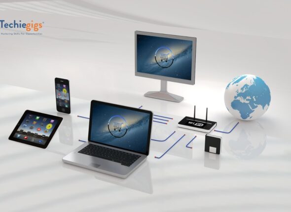 Ecommerce Business Model