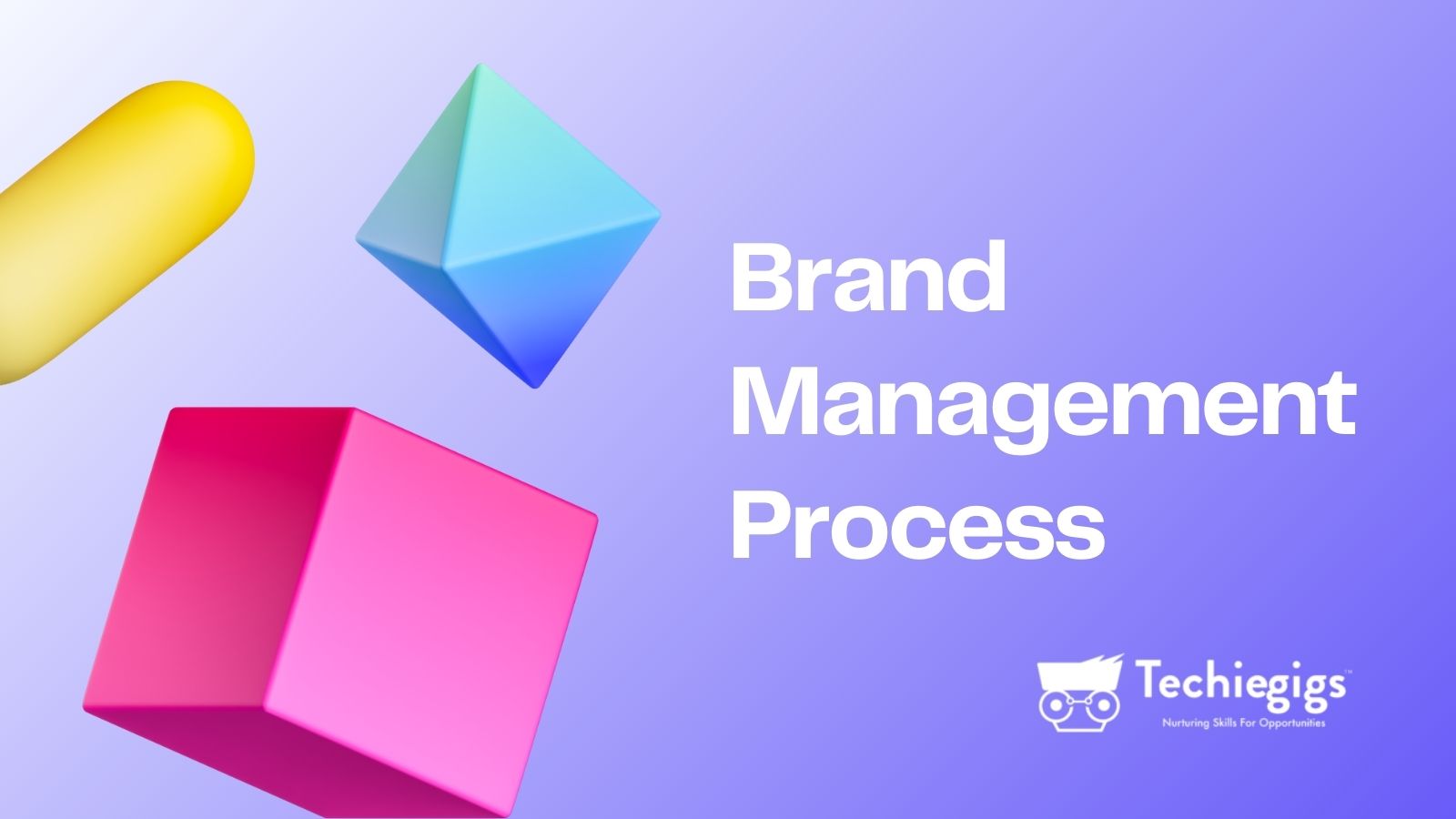 Brand Management Process