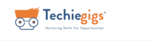 techiegigs digital marketing course